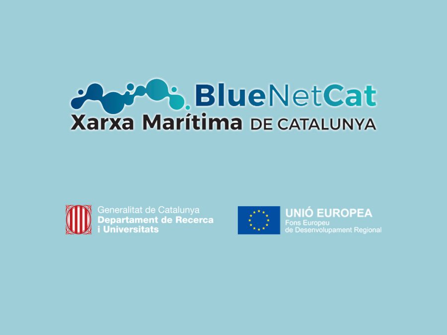 BlueNetCat
